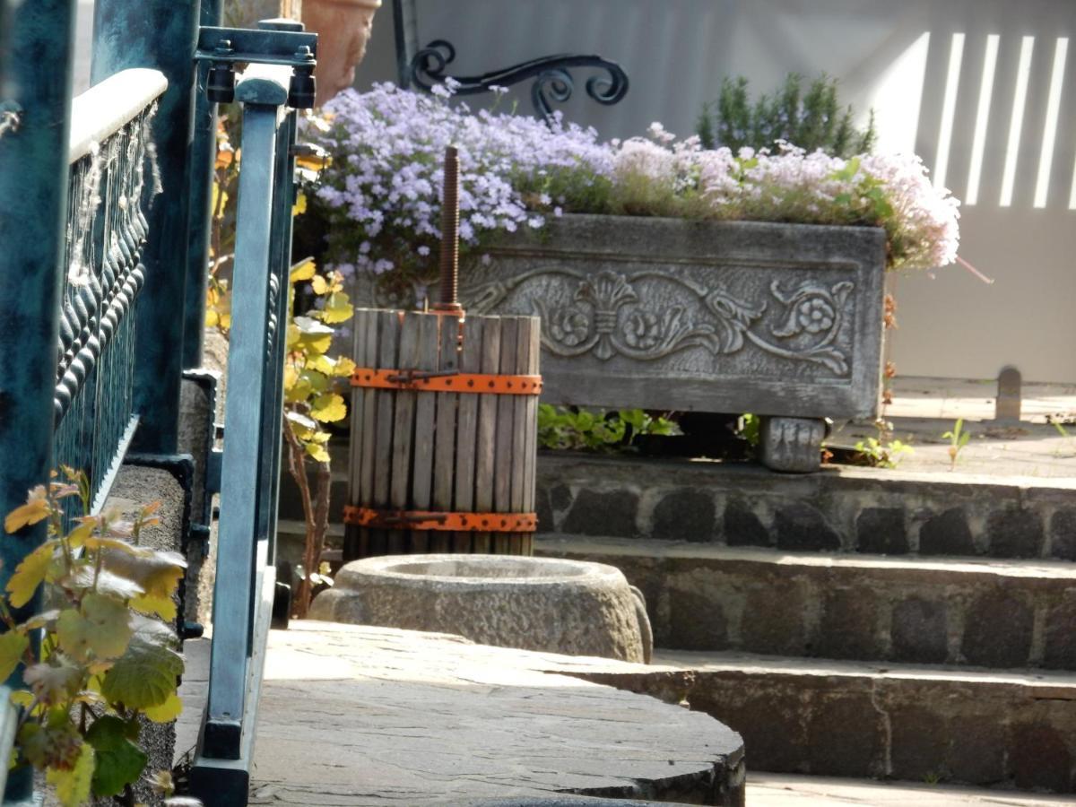 Garni Hotel Terano Maribor Exteriér fotografie
